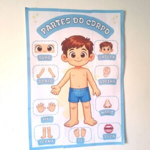 Painel Partes do Corpo Humano
